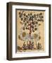 Two Ostriches-Aristotle ibn Bakhtishu-Framed Giclee Print