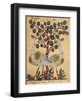 Two Ostriches-Aristotle ibn Bakhtishu-Framed Giclee Print