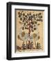 Two Ostriches-Aristotle ibn Bakhtishu-Framed Giclee Print