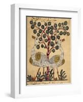 Two Ostriches-Aristotle ibn Bakhtishu-Framed Giclee Print