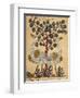 Two Ostriches-Aristotle ibn Bakhtishu-Framed Giclee Print