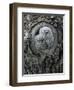 Two Owlets in Tree Knot-Nosnibor137-Framed Photographic Print