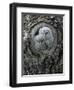 Two Owlets in Tree Knot-Nosnibor137-Framed Photographic Print