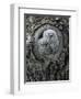 Two Owlets in Tree Knot-Nosnibor137-Framed Photographic Print