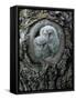 Two Owlets in Tree Knot-moodboard-Framed Stretched Canvas