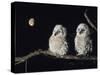 Two Owlets Perching on Tree Branch-null-Stretched Canvas
