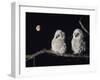 Two Owlets Perching on Tree Branch-null-Framed Photo