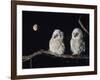 Two Owlets Perching on Tree Branch-null-Framed Photo