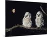 Two Owlets Perching on Tree Branch-null-Mounted Photo