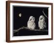 Brown Frame