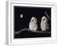 White Frame