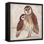 Two Owls I-Lisa Ven Vertloh-Framed Stretched Canvas