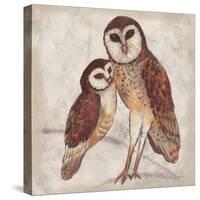 Two Owls I-Lisa Ven Vertloh-Stretched Canvas