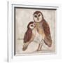 Two Owls I-Lisa Ven Vertloh-Framed Art Print