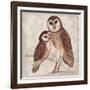 Two Owls I-Lisa Ven Vertloh-Framed Art Print