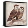 Two Owls II-Lisa Ven Vertloh-Framed Stretched Canvas