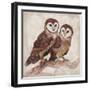 Two Owls II-Lisa Ven Vertloh-Framed Art Print