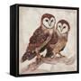 Two Owls II-Lisa Ven Vertloh-Framed Stretched Canvas