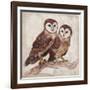 Two Owls II-Lisa Ven Vertloh-Framed Art Print