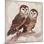 Two Owls II-Lisa Ven Vertloh-Mounted Art Print