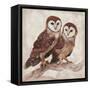 Two Owls II-Lisa Ven Vertloh-Framed Stretched Canvas