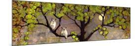 Two Owls in the Moon Light-Blenda Tyvoll-Mounted Art Print