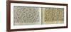 Two Pages of a Koran Manuscript Written in Oriental Kufic Script-null-Framed Giclee Print