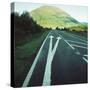 Two painted arrows on a road pointing towards a grassy mountain-null-Stretched Canvas