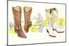 Two Pair of Fancy Cowboy Boots-null-Mounted Art Print