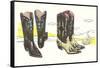 Two Pair of Fancy Cowboy Boots-null-Framed Stretched Canvas