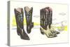 Two Pair of Fancy Cowboy Boots-null-Stretched Canvas