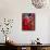 Two Pakistani Brides, Smile During a Mass Wedding Ceremon-null-Framed Stretched Canvas displayed on a wall