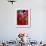 Two Pakistani Brides, Smile During a Mass Wedding Ceremon-null-Framed Photographic Print displayed on a wall