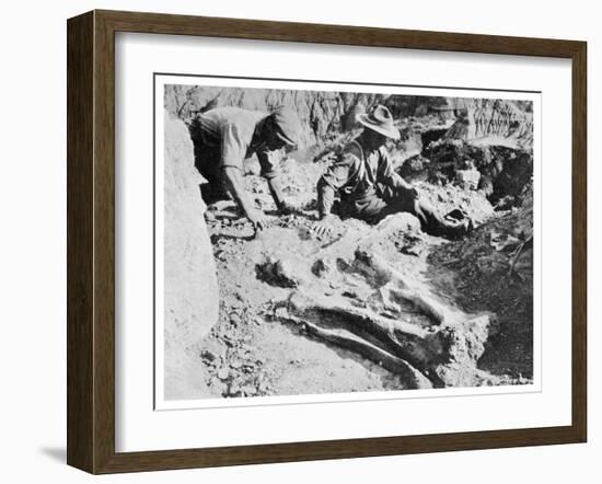 Two Paleontologists Unearth a Dinosaur in Canada-null-Framed Photographic Print