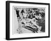 Two Paleontologists Unearth a Dinosaur in Canada-null-Framed Photographic Print
