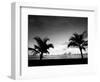 Two Palms BW-John Gusky-Framed Photographic Print