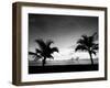 Two Palms BW-John Gusky-Framed Photographic Print