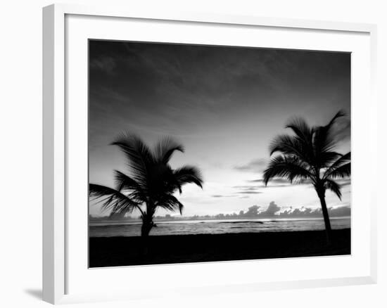 Two Palms BW-John Gusky-Framed Photographic Print