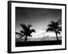 Two Palms BW-John Gusky-Framed Photographic Print