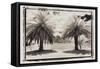 Two Palms, Guatemala-Theo Westenberger-Framed Stretched Canvas