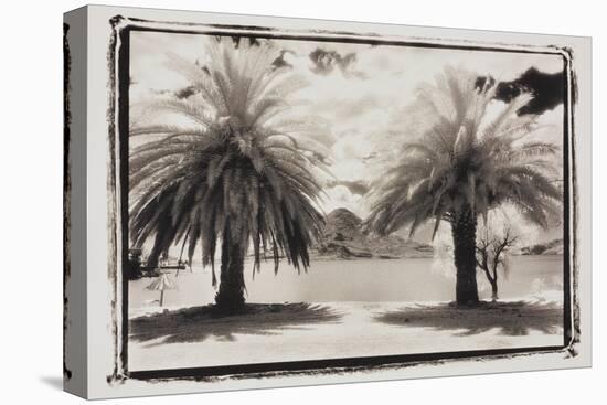 Two Palms, Guatemala-Theo Westenberger-Stretched Canvas