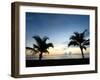 Two Palms-John Gusky-Framed Photographic Print