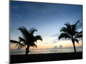 Two Palms-John Gusky-Mounted Photographic Print