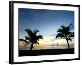 Two Palms-John Gusky-Framed Photographic Print