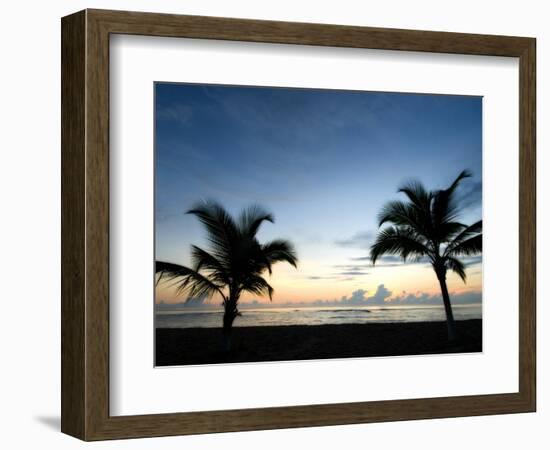 Two Palms-John Gusky-Framed Photographic Print