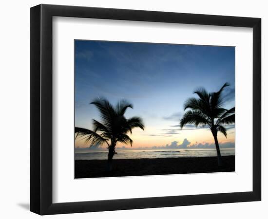 Two Palms-John Gusky-Framed Photographic Print