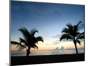 Two Palms-John Gusky-Mounted Photographic Print