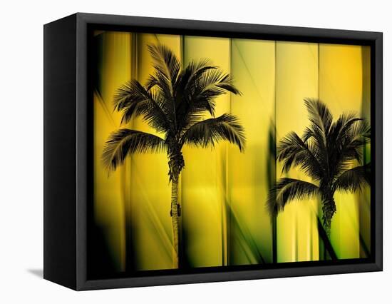 Two Palms-Andrew Michaels-Framed Stretched Canvas