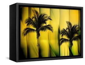 Two Palms-Andrew Michaels-Framed Stretched Canvas