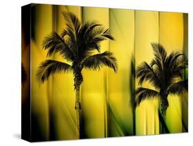 Two Palms-Andrew Michaels-Stretched Canvas